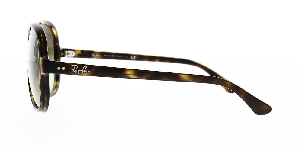 Ray Ban RB4125