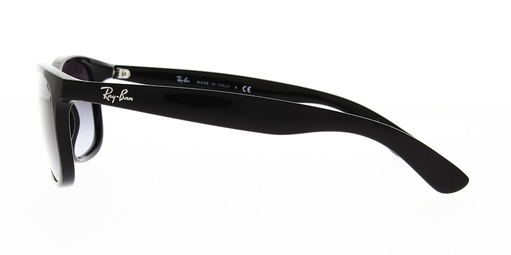 Ray Ban RB4202