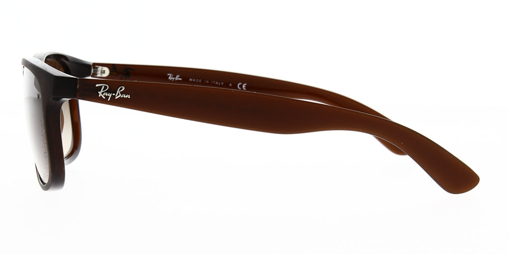 Ray Ban RB4202