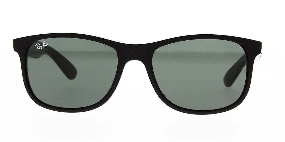 Ray Ban RB4202