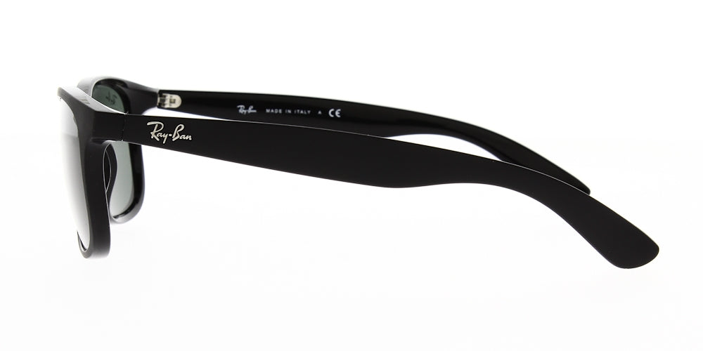 Ray Ban RB4202
