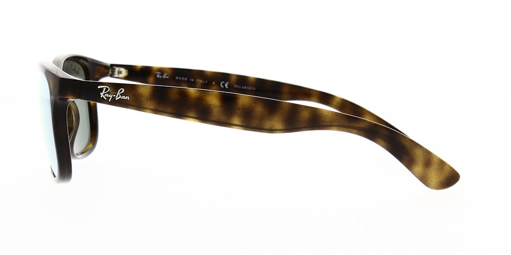 Ray Ban RB4202