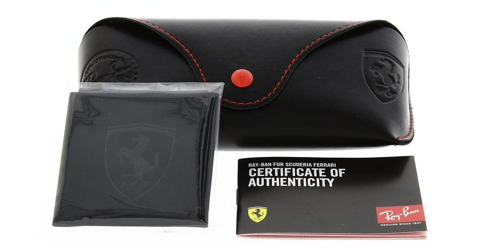 Ray Ban RB4195M