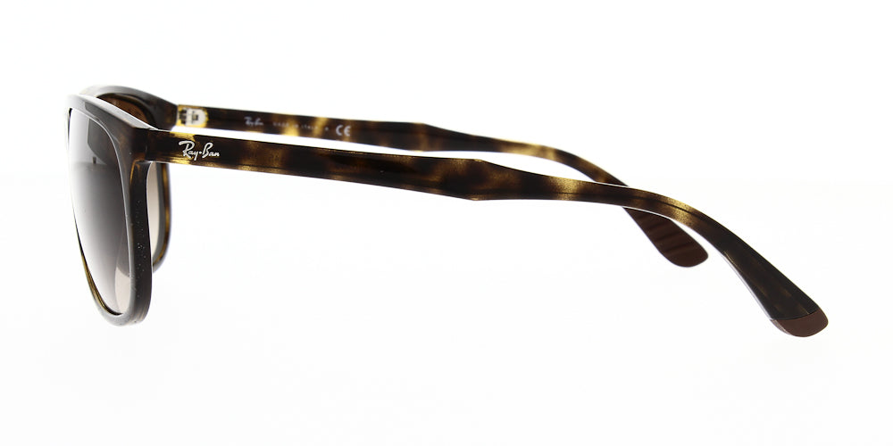 Ray Ban RB4291