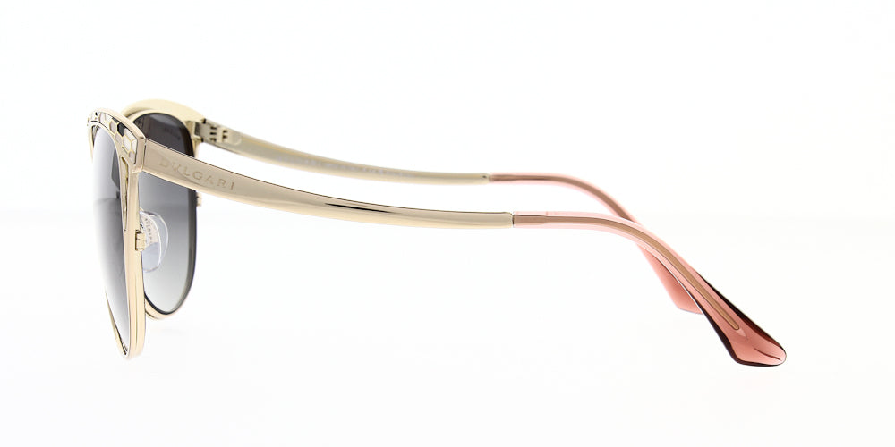 bv6083014t3-polarised-56