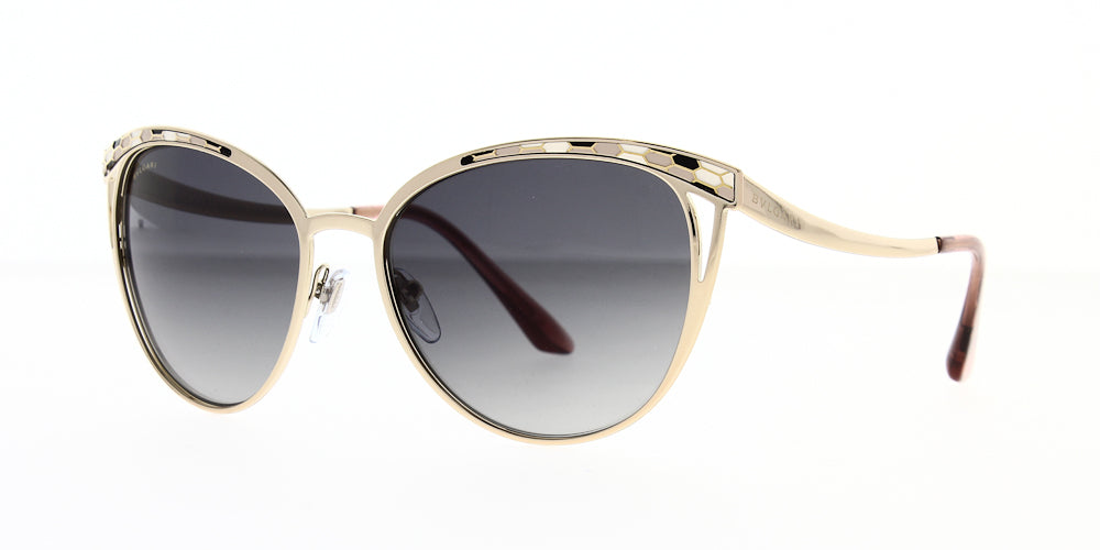 bv6083014t3-polarised-56