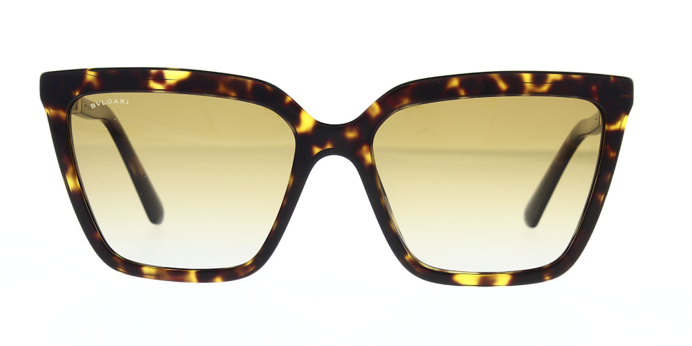 bv8255b-504-t5-polarised-57