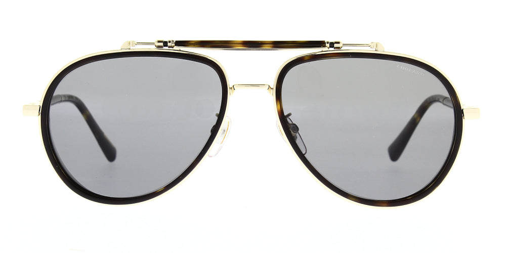 schf24-722p-polarised-59
