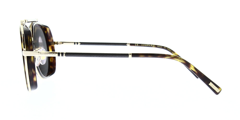 schf24-722p-polarised-59