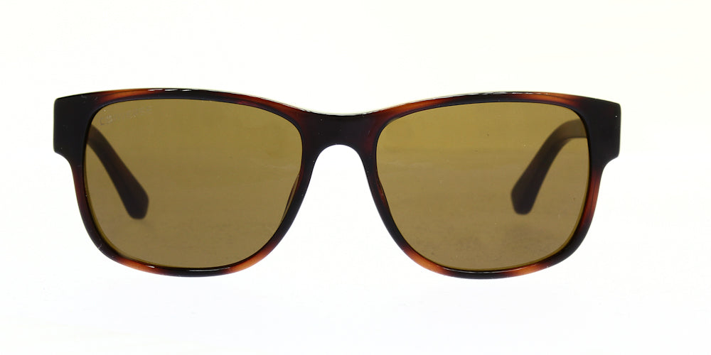 b013-tortoise-57