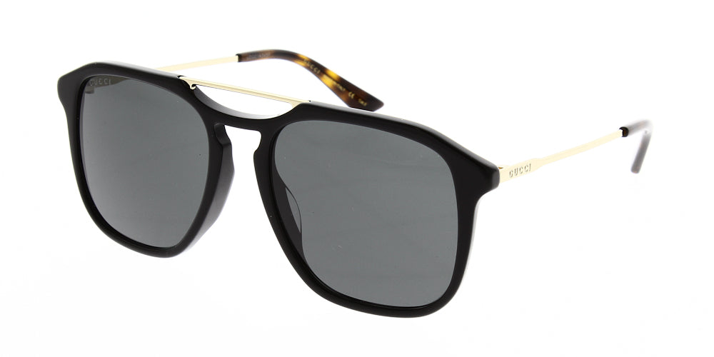 gg0321s-001-55