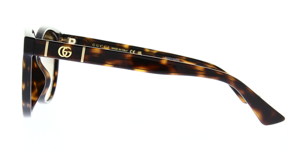 gg0636sk-002-56