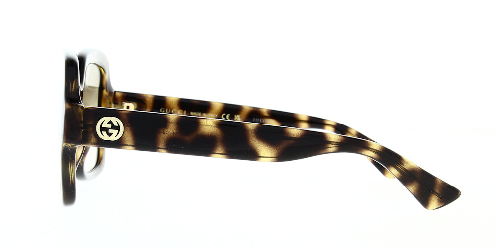 gg1337s-003-54