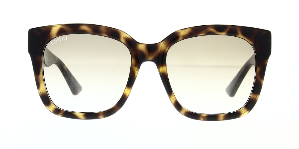 gg1338s-003-54