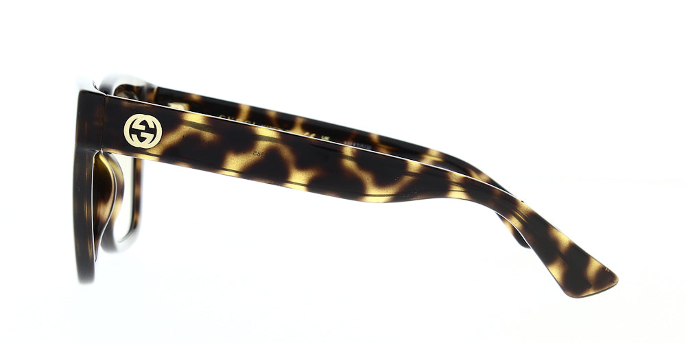 gg1338s-003-54