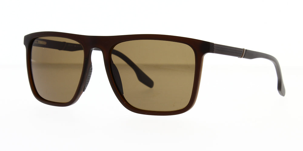 hs3811-b-polarised-56