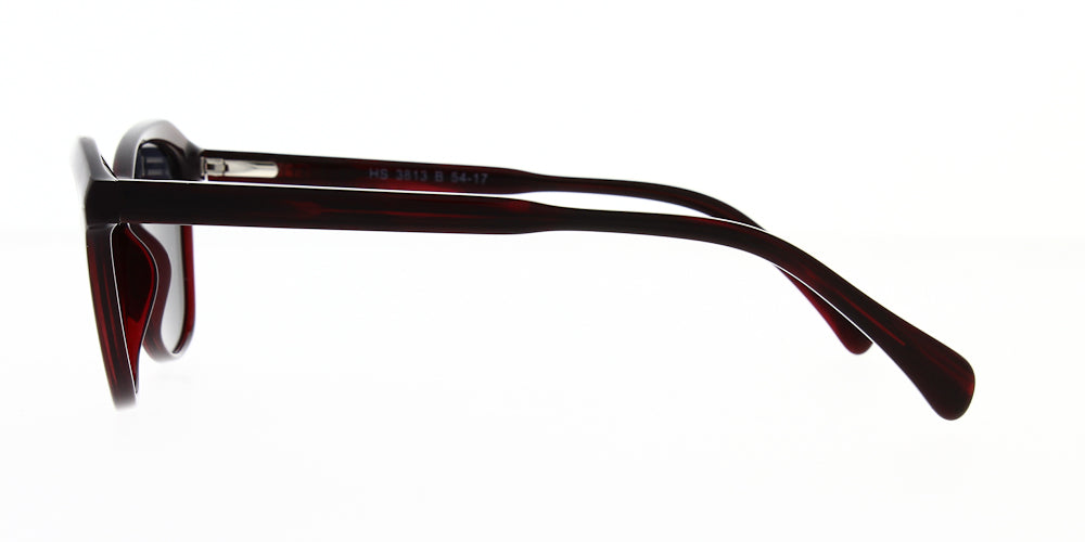 hs3813-b-polarised-54
