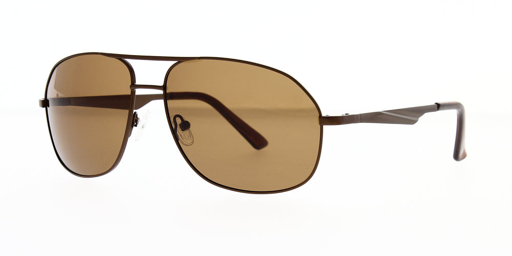 hs806-b-polarised-60