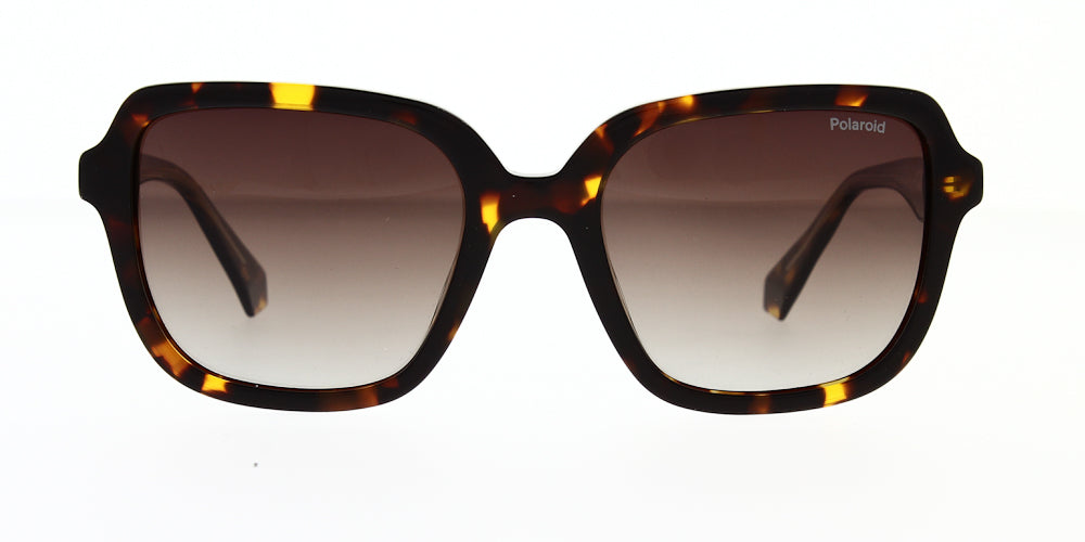 pld4095-s-x-086-la-polarised-53