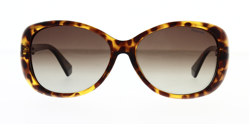 pld4097-s-086-la-polarised-58