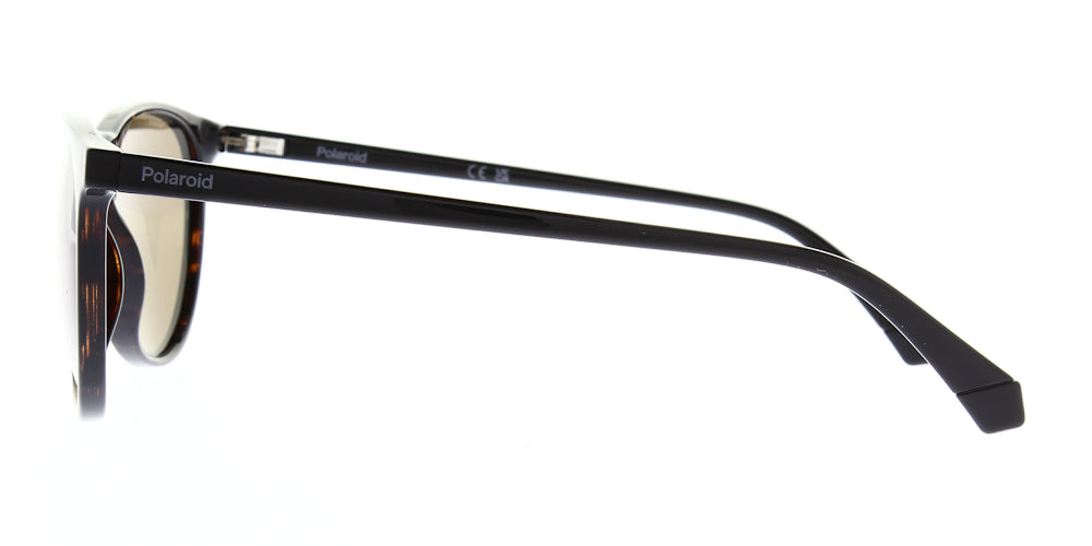 pld4152-s-086-sp-polarised-54