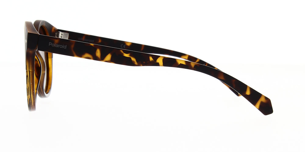 pld6043-s-086-la-polarised-51