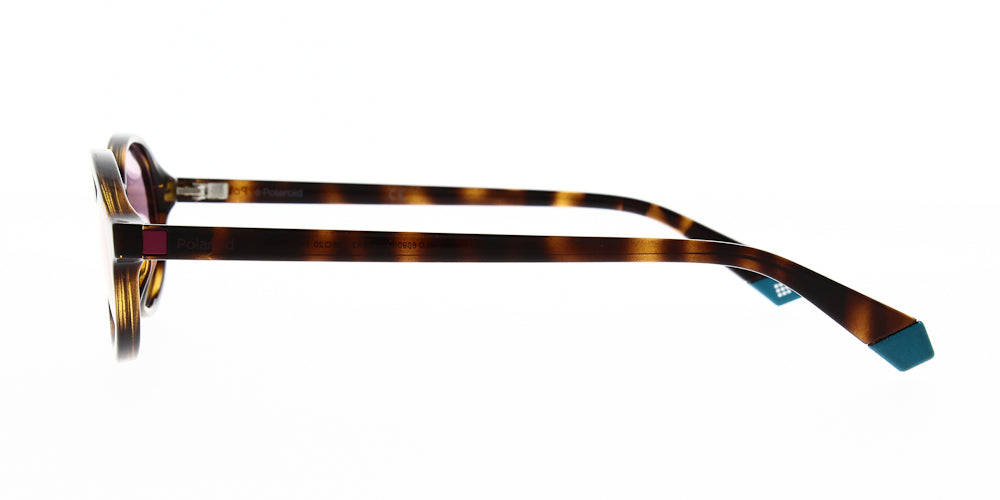 pld6090-s-c4b-a2-polarised-50