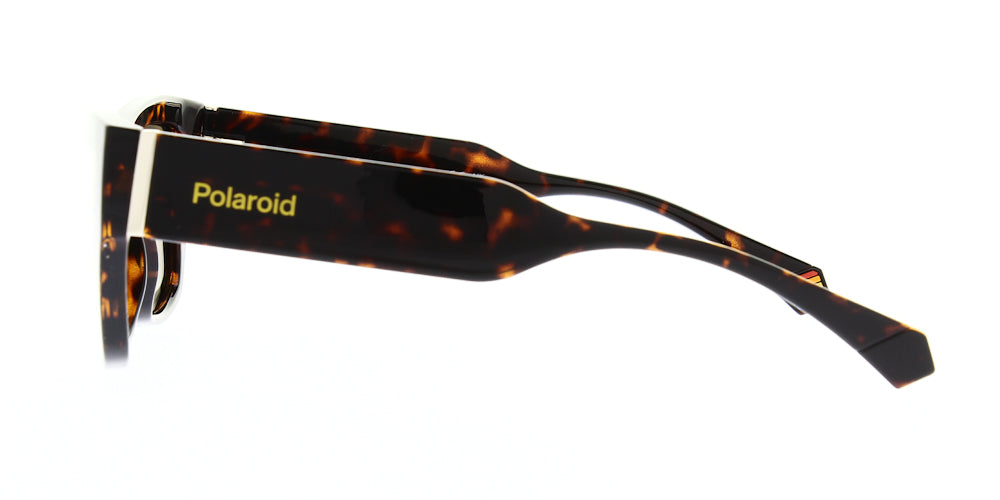 pld6210-s-x-086-sp-polarised-55