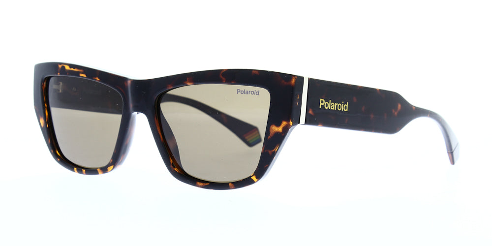 pld6210-s-x-086-sp-polarised-55