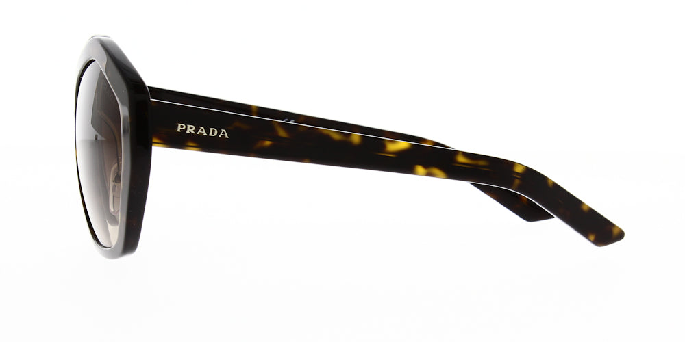 pr08xsau6s1-55