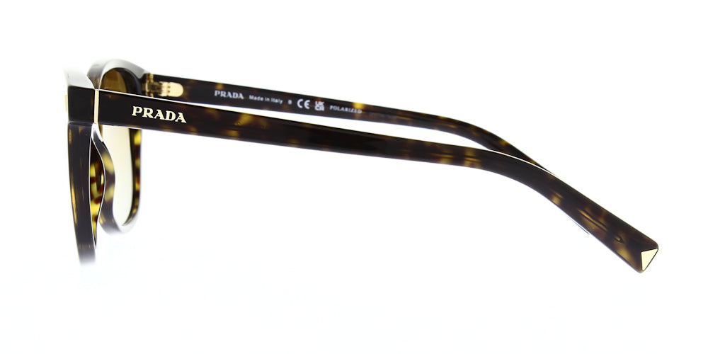 pr22zsau6e1-polarised-53
