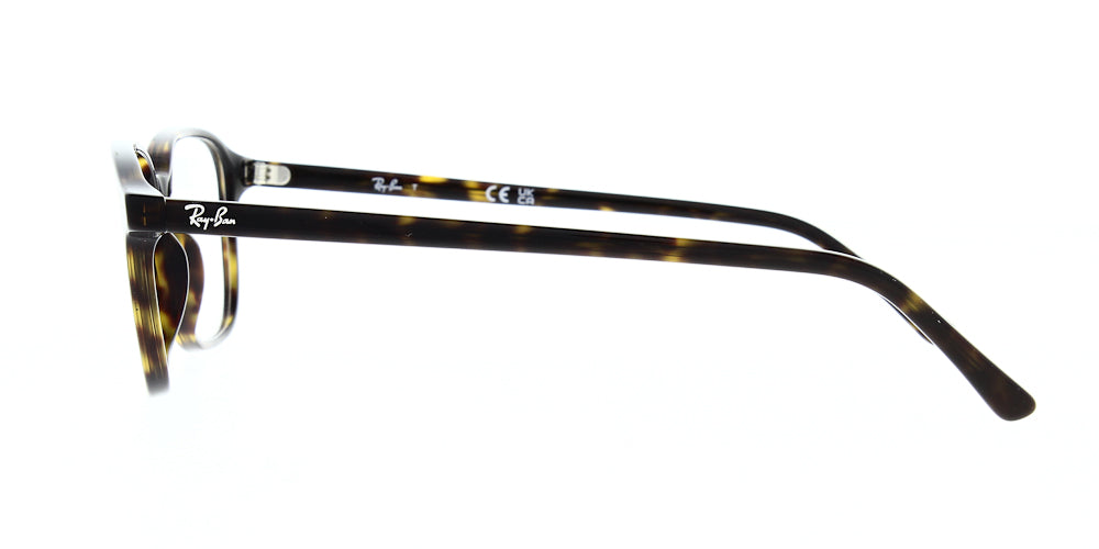 leonard-rx5393012-49