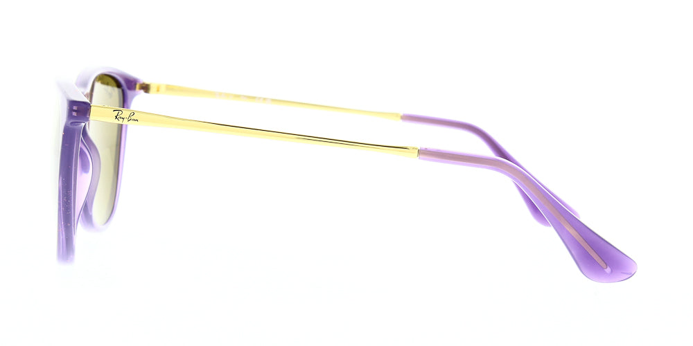 rj9060s-713173-50