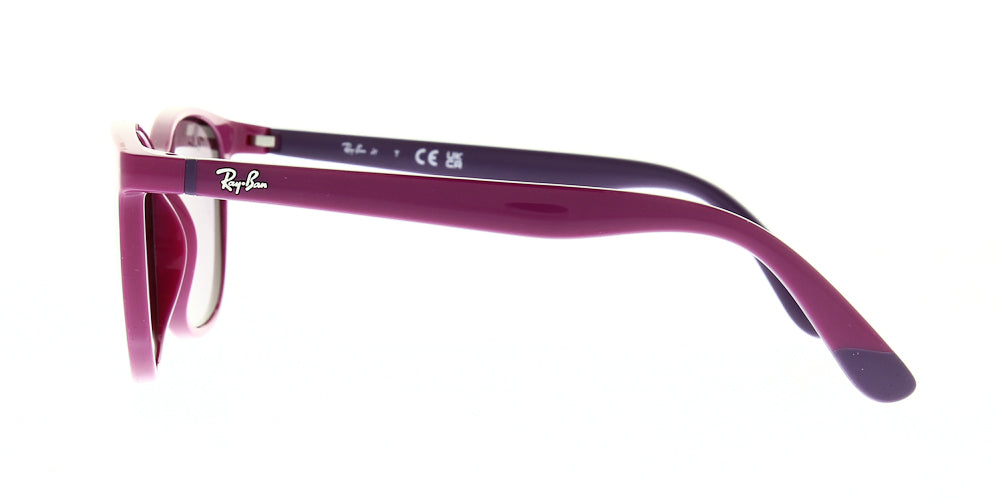 rj9079s-71498h-49
