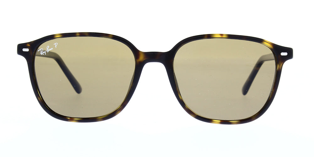 leonard-rb2193-902-57-polarised-53