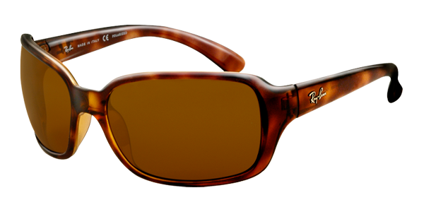 Ray Ban RB4068 Sunglasses