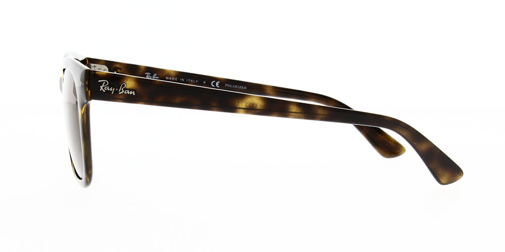 rb4323-710-83-polarised-51