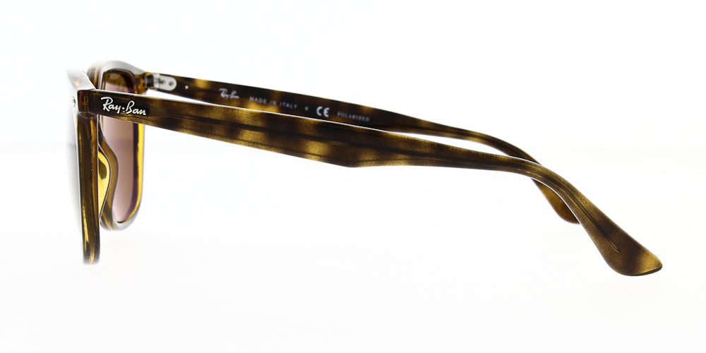 rb4362-710-83-polarised-55