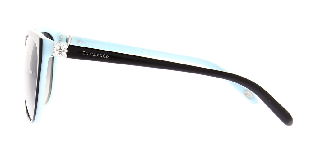 tf4089b-8055t3-polarised-58