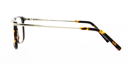 d153-havana-gold-50