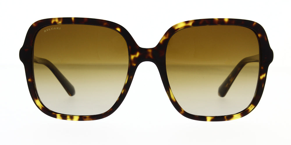 bv8228b-504-t5-polarised-57