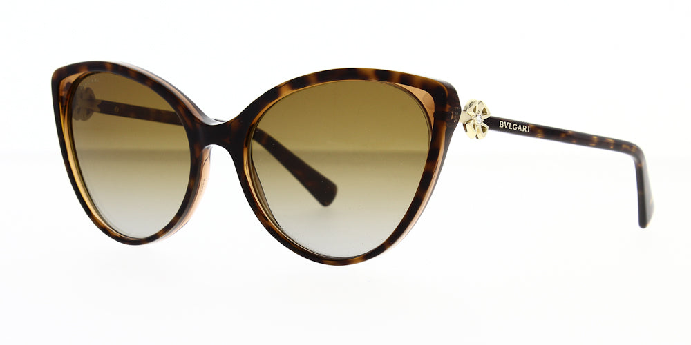 bv8246b-5496t5-polarised-57