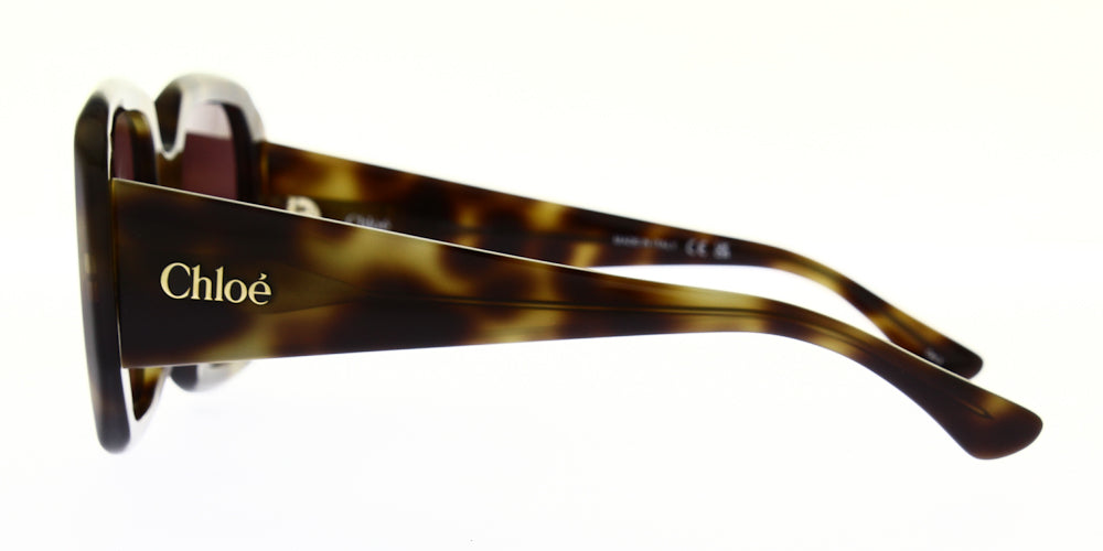 CH0300S-002-54