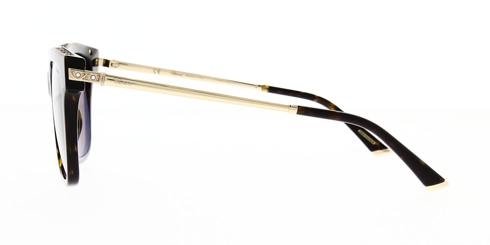 sch272s-722p-polarised-56