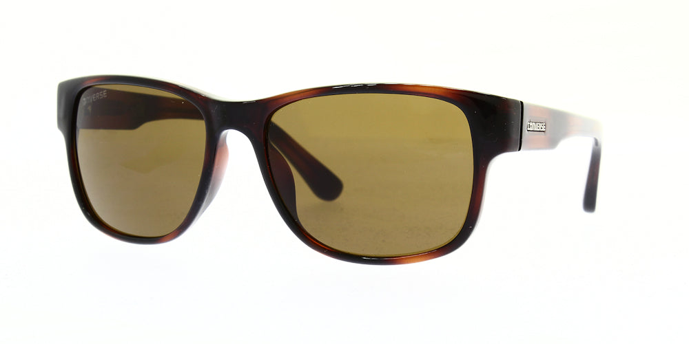 b013-tortoise-57
