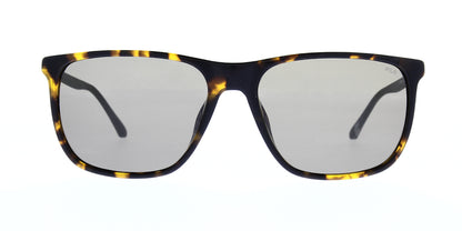 sfi299v-c10p-polarised-57