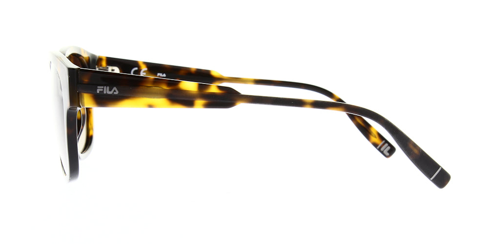 sfi310v-c10p-polarised-51