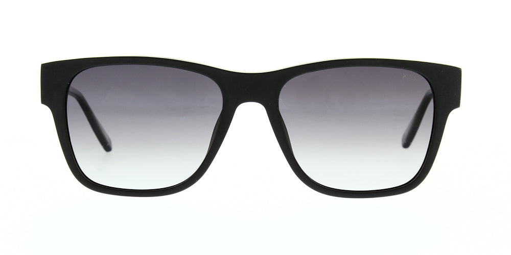 sfi311v-703p-polarised-54