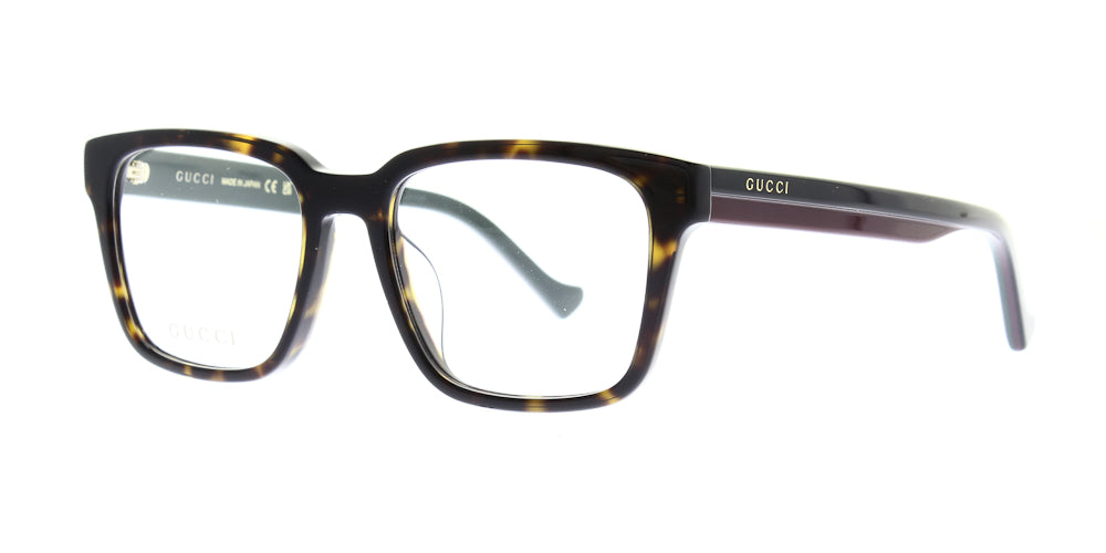 gg1306oa-002-54
