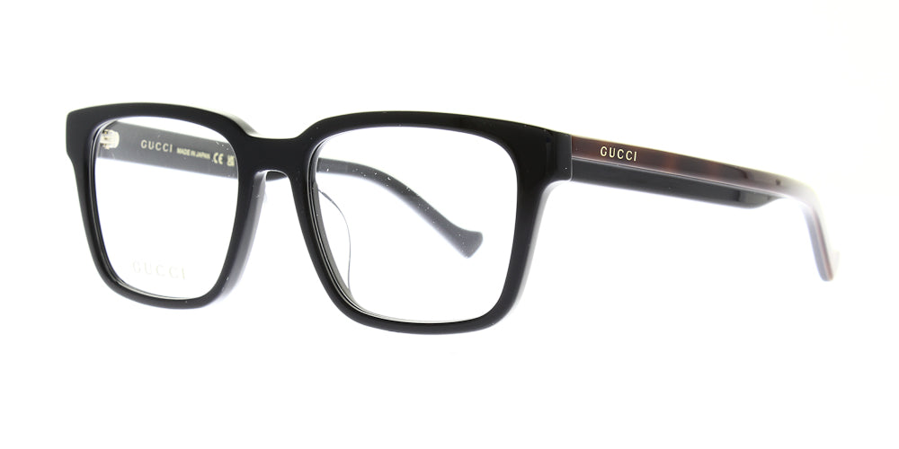 gg1306oa-003-54